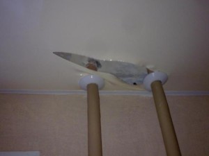 Можно ли нарисовать натяжной потолок?